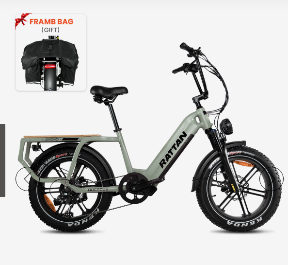 Rattan Quercus Torque Sensor, 20*4 Inch Fat Tire with 1500w(Peak) Motor, Class-3(Top Speed 30mph), 48V 960Wh, 20AH Samsung Cells Battery.