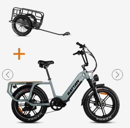 Rattan Quercus Torque Sensor, 20*4 Inch Fat Tire with 1500w(Peak) Motor, Class-3(Top Speed 30mph), 48V 960Wh, 20AH Samsung Cells Battery.