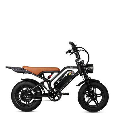 VICTRIP R6 Off Road Ebike | 1000W Peak Fat Tire
