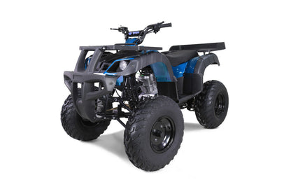 Tao Motor 250 Rhino Adult ATV