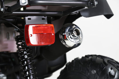 Tao Motor 250 Rhino Adult ATV