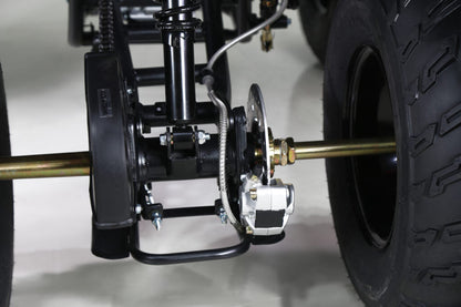Tao Motor 250 Rhino Adult ATV
