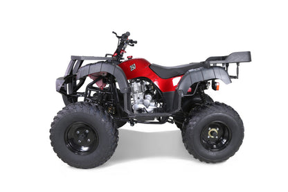 Tao Motor 250 Rhino Adult ATV