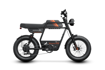 Riding times GT33 Cargo Electric Bike 