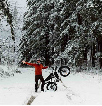 Freego S1 Cafe Racer eBike
