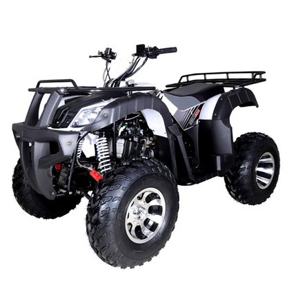 Tao Bull 200 Type-S Adult ATV
