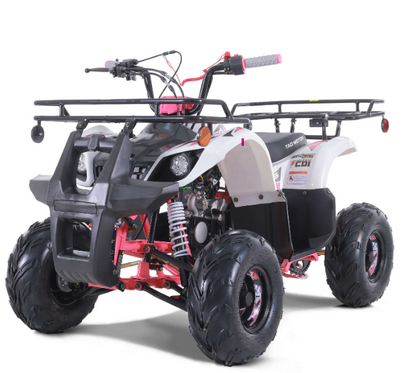 Tao Motor D125 NEW Kids 125cc ATV