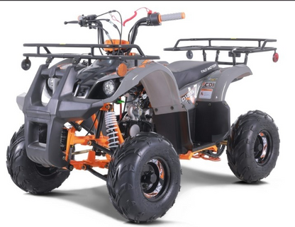 Tao Motor D125 NEW Kids 125cc ATV