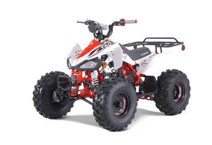 Tao Motor T125 NEW Mid-Size 125cc ATV