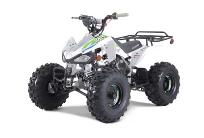 Tao Motor T125 NEW Mid-Size 125cc ATV