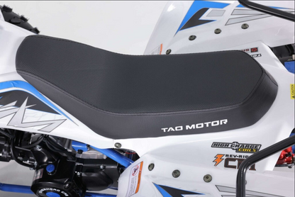 Tao Motor T125 NEW Mid-Size 125cc ATV
