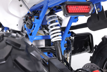 Tao Motor T125 NEW Mid-Size 125cc ATV