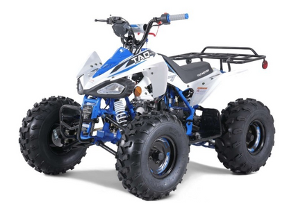 Tao Motor T125 NEW Mid-Size 125cc ATV