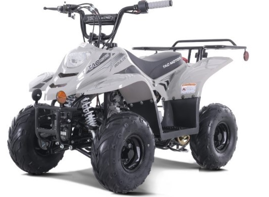 Tao Motor 110cc NEW Boulder Kids ATV