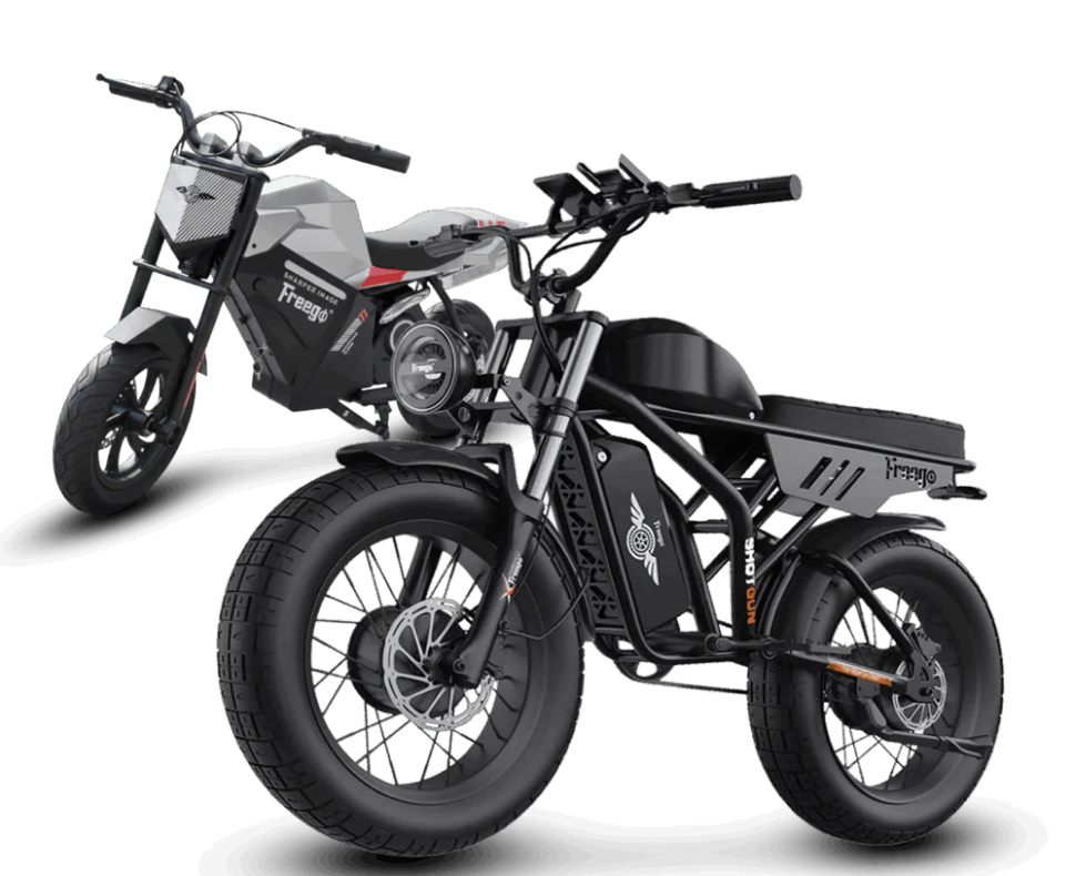 Freego Flash F3 Pro Dual Motor and Battery eBike