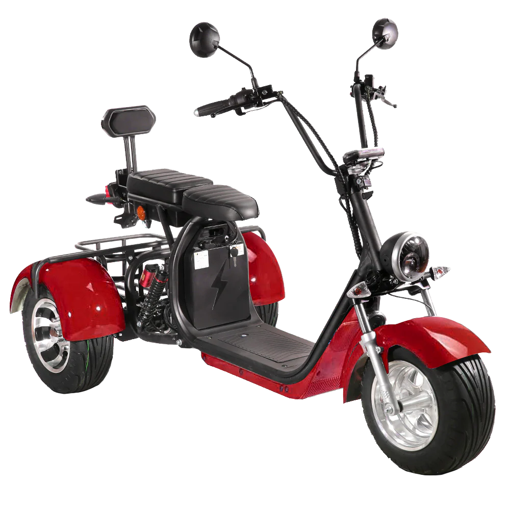 SoverSky T7.1 Electric Mobility Adult Trike | 2000W Fat Tire Trike