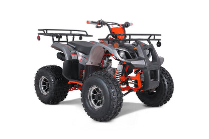 Tao Motor 125 T-Force Platinum Mid-Size ATV