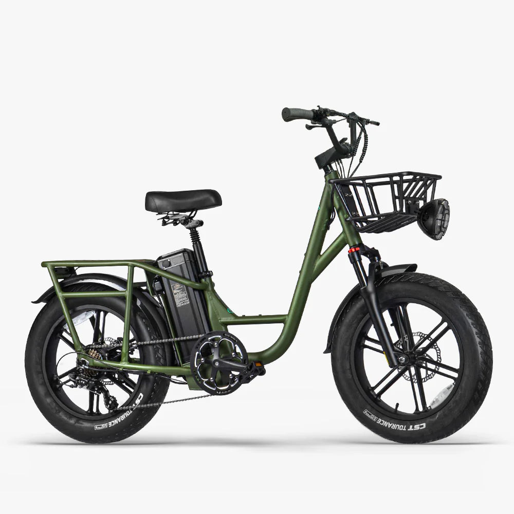 Fiido T1 Pro Utility Electric Bike | 750W Cargo E-Bike