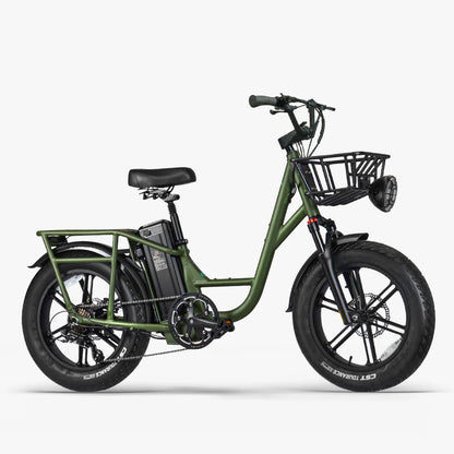 Fiido T1 Pro Utility Electric Bike | 750W Cargo E-Bike