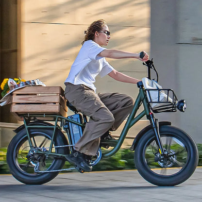 Fiido T1 Pro Utility Electric Bike | 750W Cargo E-Bike