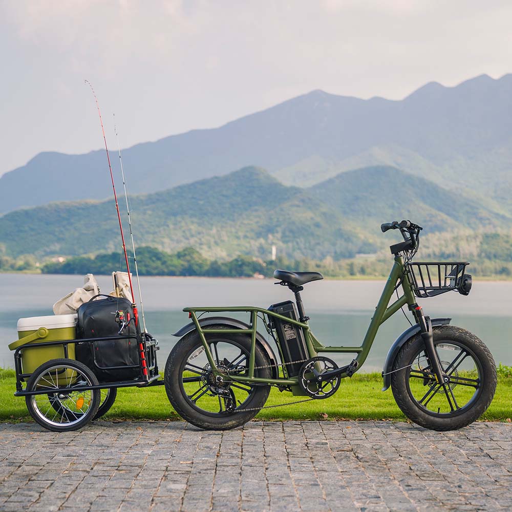Fiido T1 Pro Utility Electric Bike | 750W Cargo E-Bike