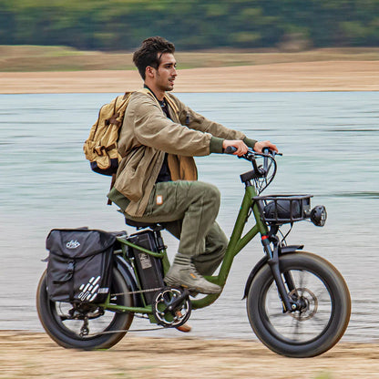 Fiido T1 Pro Utility Electric Bike | 750W Cargo E-Bike