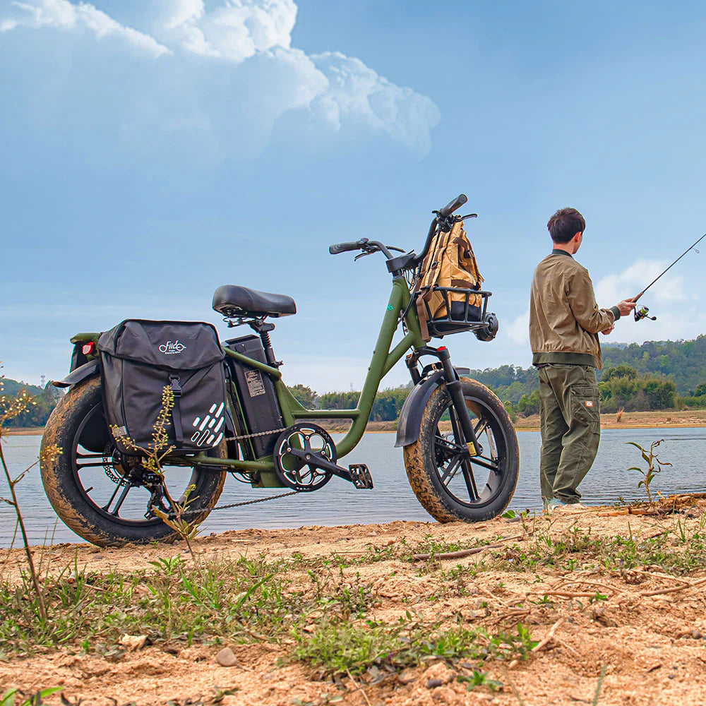 Fiido T1 Pro Utility Electric Bike | 750W Cargo E-Bike