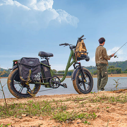 Fiido T1 Pro Utility Electric Bike | 750W Cargo E-Bike