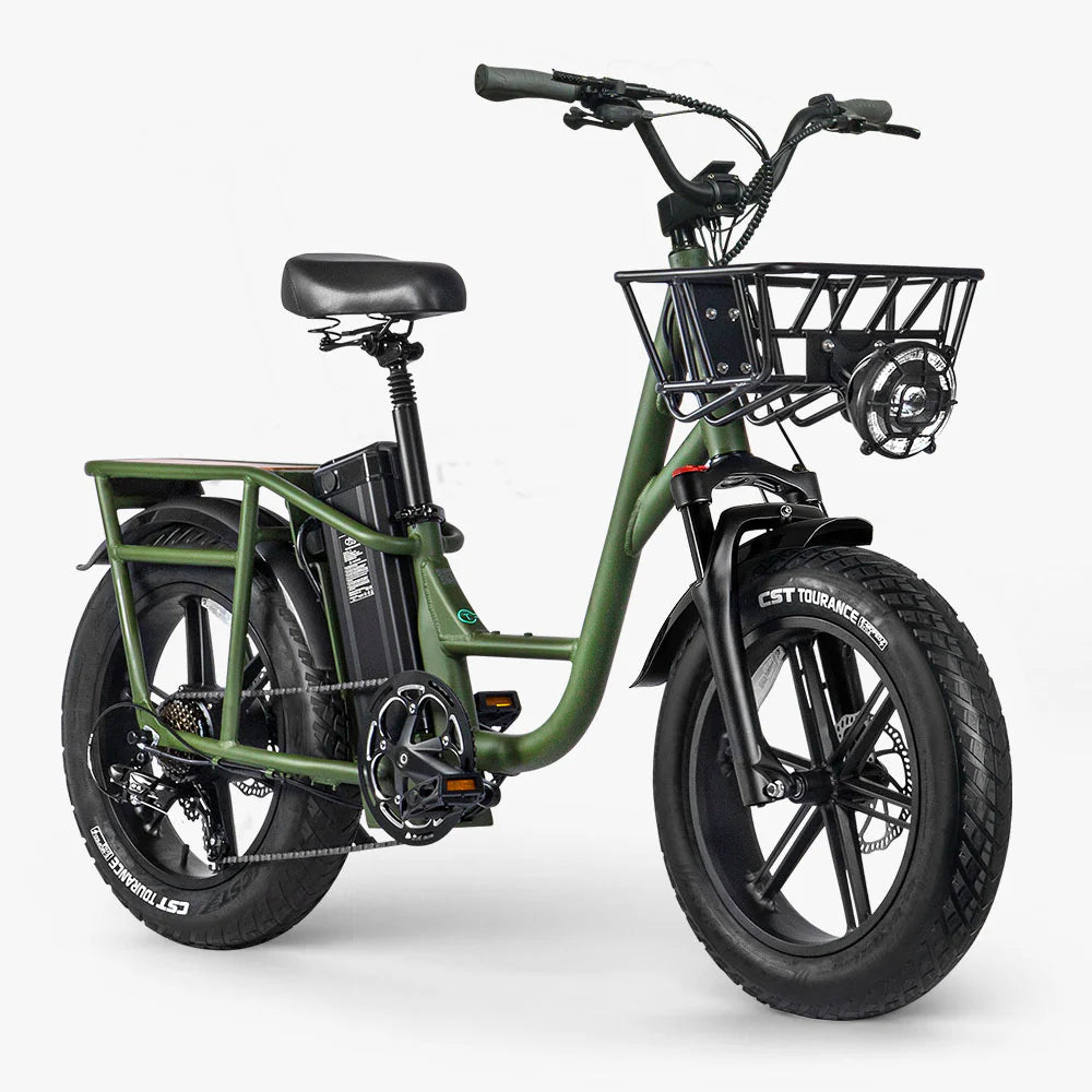 Fiido T1 Pro Utility Electric Bike | 750W Cargo E-Bike