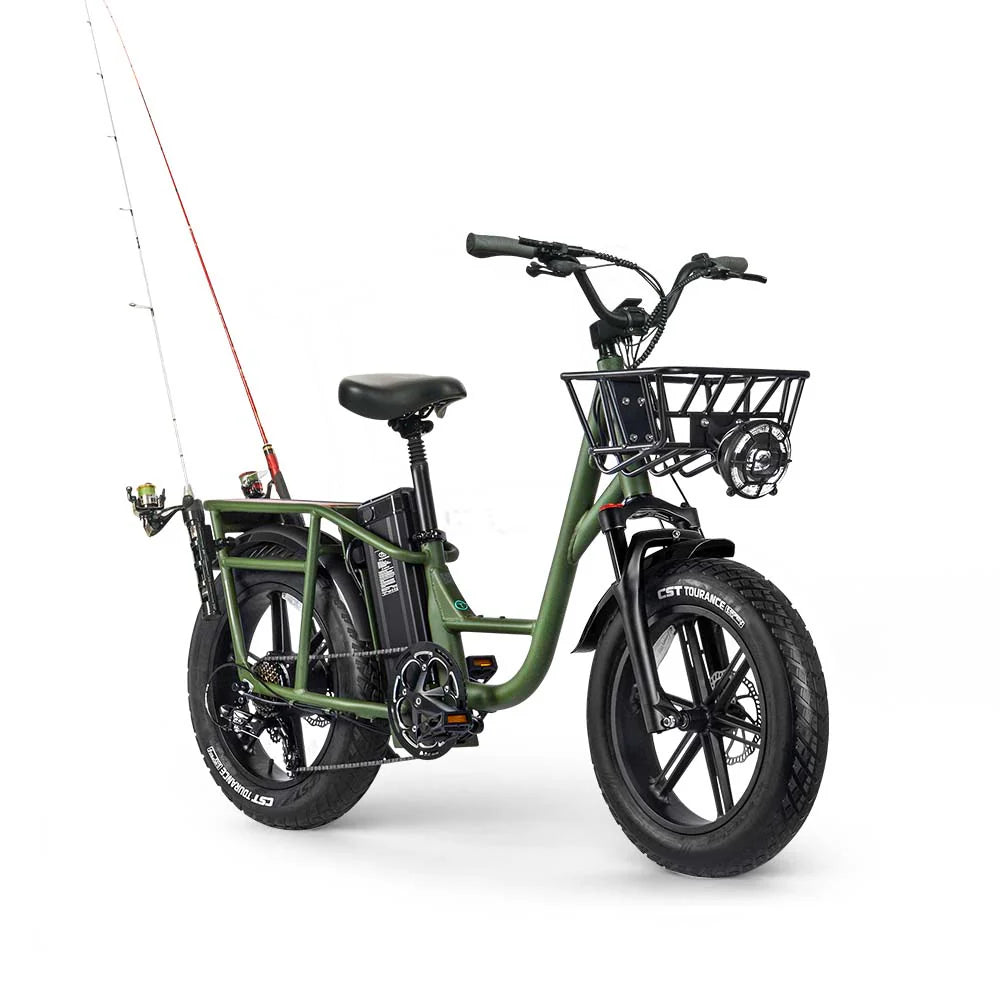 Fiido T1 Pro Utility Electric Bike | 750W Cargo E-Bike