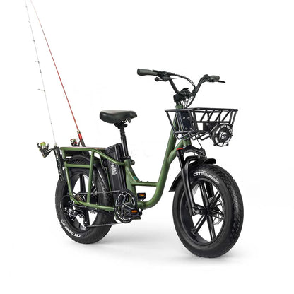 Fiido T1 Pro Utility Electric Bike | 750W Cargo E-Bike