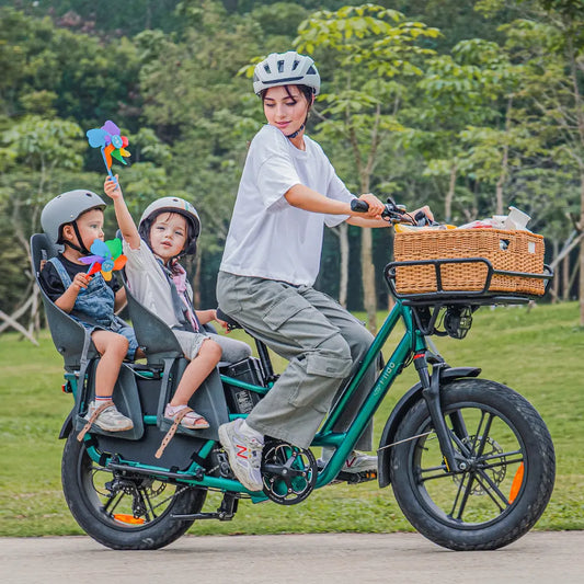 Fiido T2 2025 Longtail Cargo E-bike