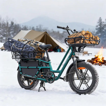 Fiido T2  2024 Longtail Cargo E-bike