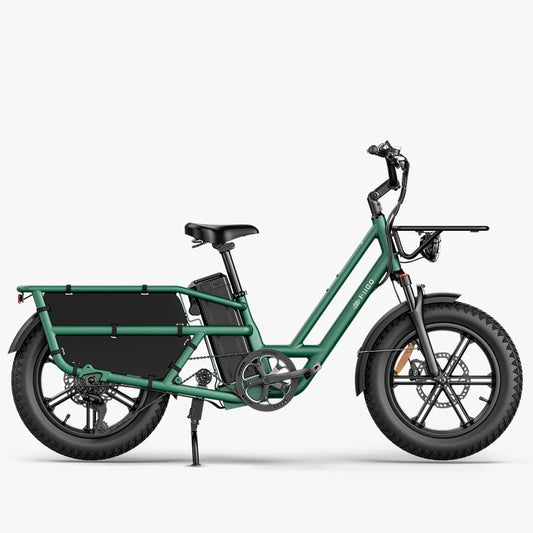 Fiido T2  2024 Longtail Cargo E-bike