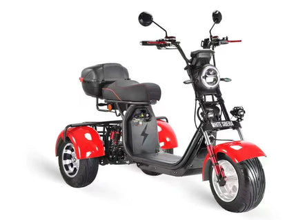 SoverSky T7.1 Electric Mobility Adult Trike | 2000W Fat Tire Trike