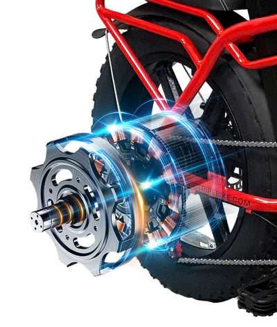 VICTRIP® TITAN S 1000W Long Range Ebike