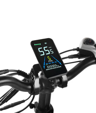 VICTRIP® TITAN S 1000W Long Range Ebike