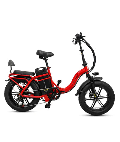 VICTRIP® TITAN S 1000W Long Range Ebike