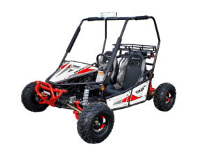 Tao Motor TRITON 125