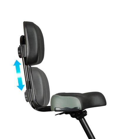VICTRIP® T1 Folding Electric Trike
