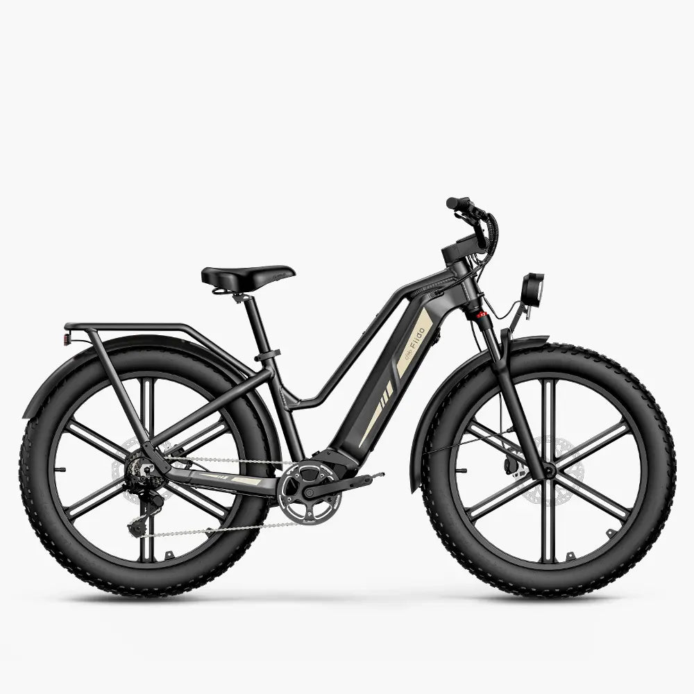 Fiido Titan Cargo Electric Bike | 750W Fat Tire Long Range E-Bike