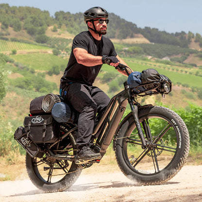 Fiido Titan Cargo Electric Bike | 750W Fat Tire Long Range E-Bike
