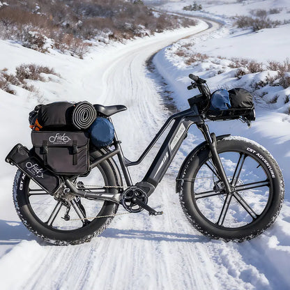 Fiido Titan Cargo Electric Bike | 750W Fat Tire Long Range E-Bike