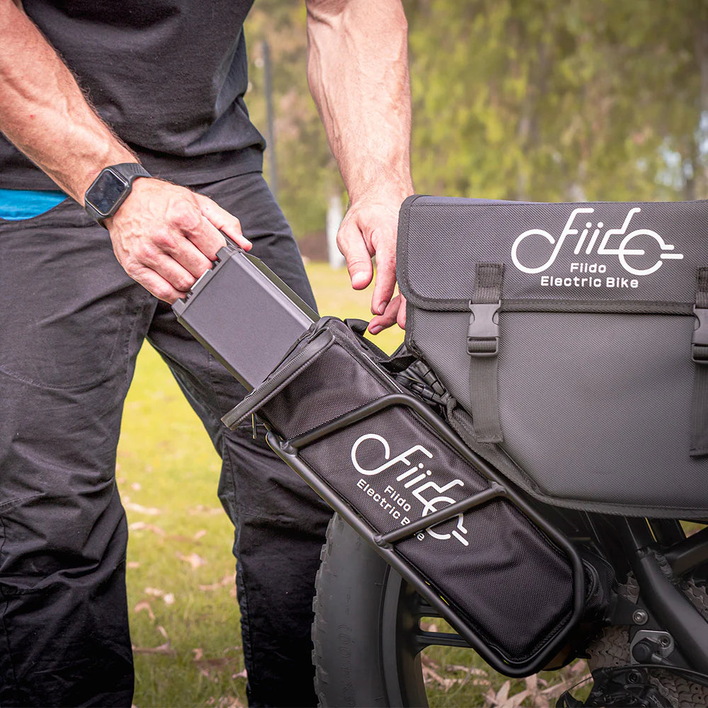 Fiido Titan Cargo Electric Bike | 750W Fat Tire Long Range E-Bike