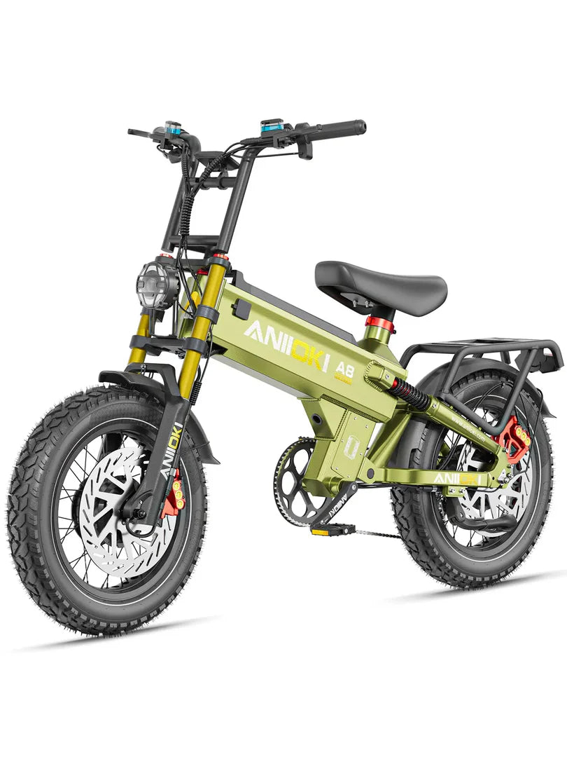 ANIIOKI A8 Pro Max Dual Motor eBike | 3000W AWD
