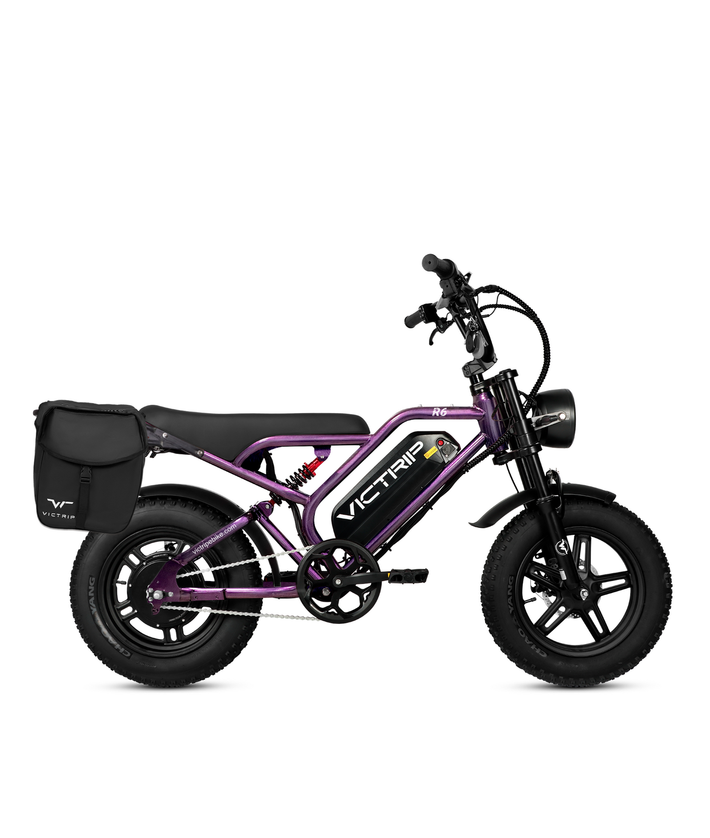 VICTRIP R6 Off Road Ebike | 1000W Peak Fat Tire