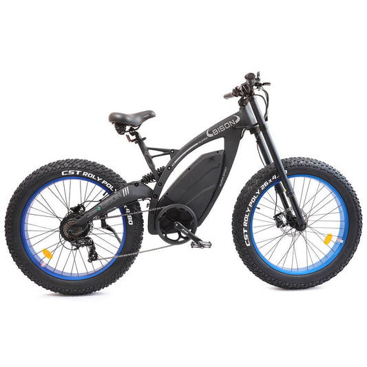 Ecotric Bison