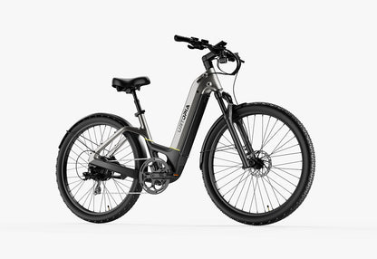 Carbon Atom E-Bike
