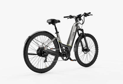 Carbon Atom E-Bike