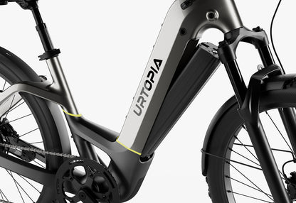 Carbon Atom E-Bike